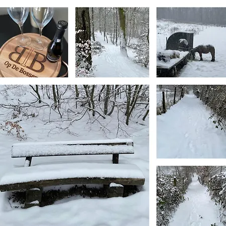 Bed and breakfast Zuid-limburg Opdebossen *