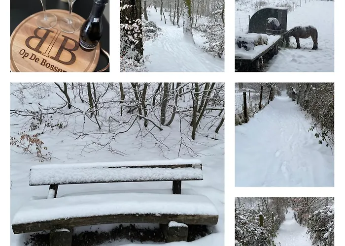 Bed & Breakfast Zuid-limburg Opdebossen *